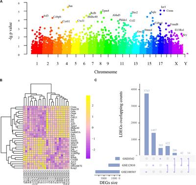 Systematic Transcriptome Analysis of <mark class="highlighted">Noise-Induced Hearing Loss</mark> Pathogenesis Suggests Inflammatory Activities and Multiple Susceptible Molecules and Pathways